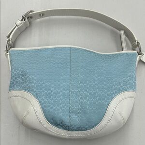 Elegant Blue and White Women's Bag